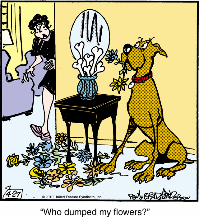 marmaduke
